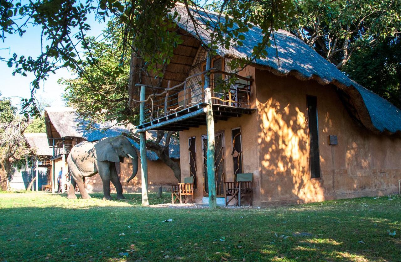 Track And Trail River Camp Kakumbi Dış mekan fotoğraf